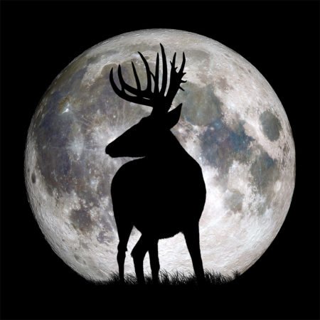 Deer Hunters Moon Guide